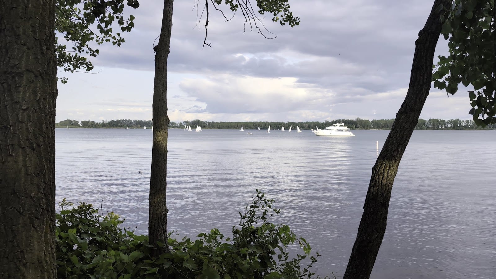 Cherry Beach Off Leash Dog Park, photo 2