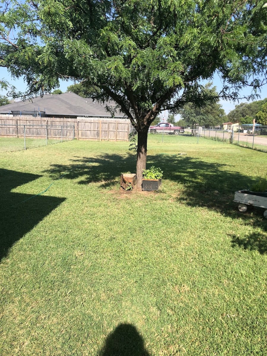 Clayton Carter Park, photo 2