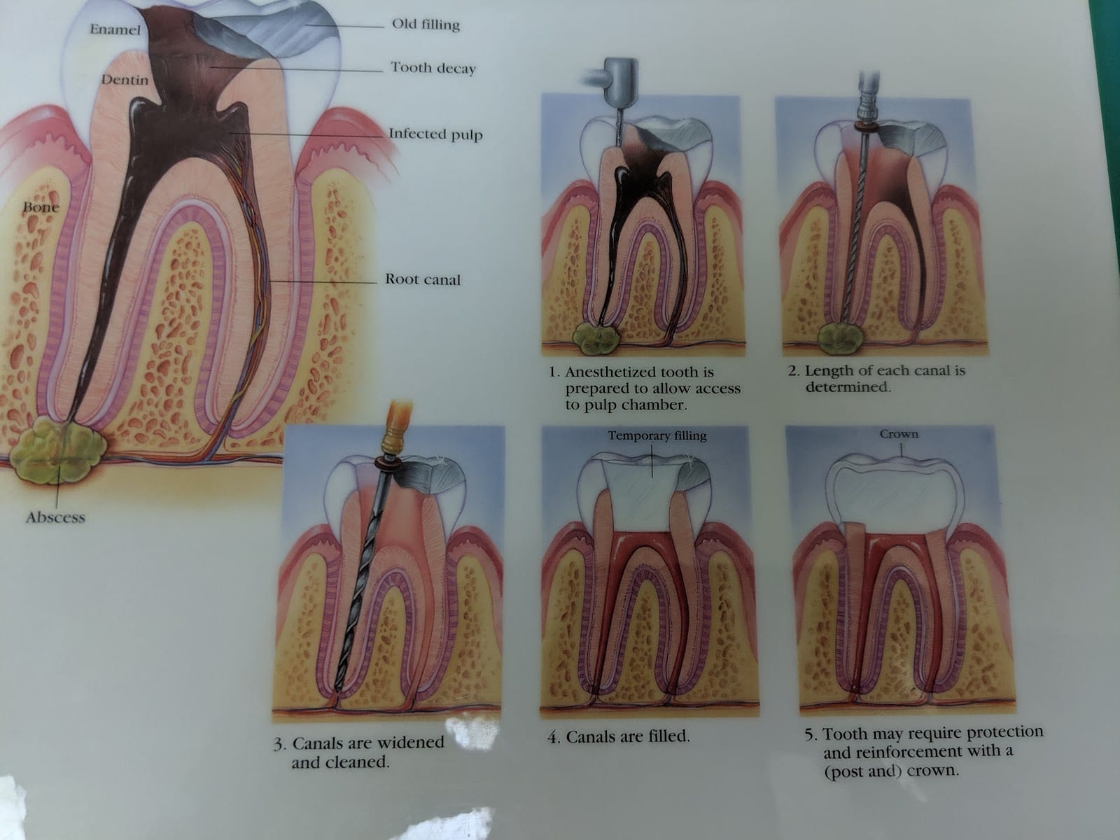 A-101 Dental Care, PC, photo 4
