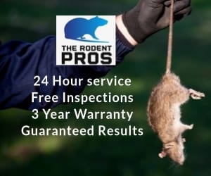The Rodent Pros, photo 2