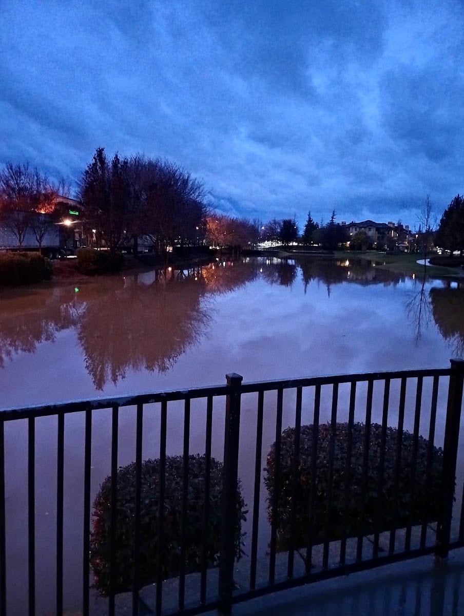 Main Street Park, photo 2