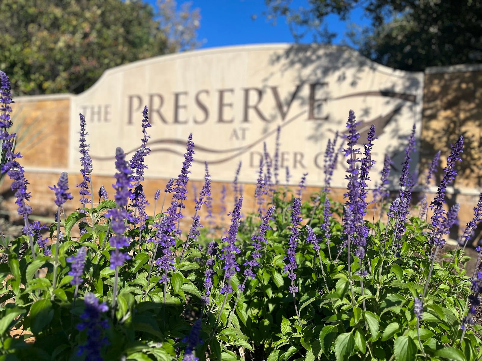 The Preserve at Dyer Creek, photo 2