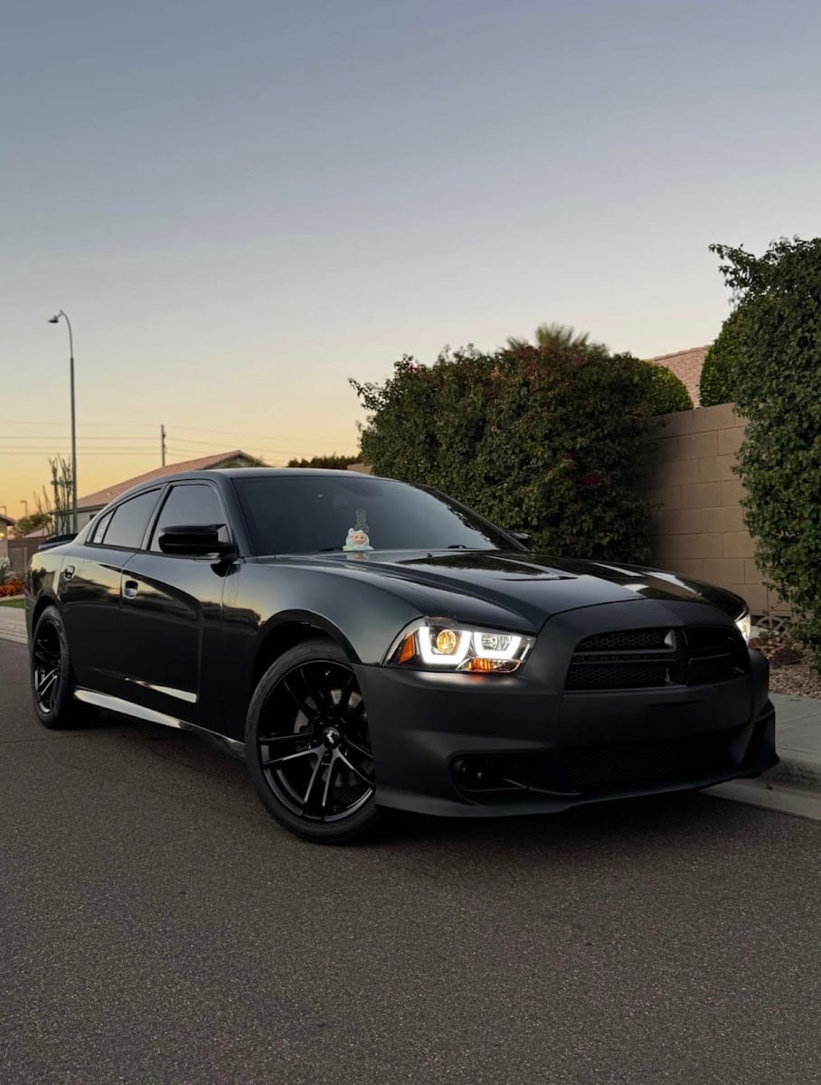 Vivid Car Detailing, photo 4