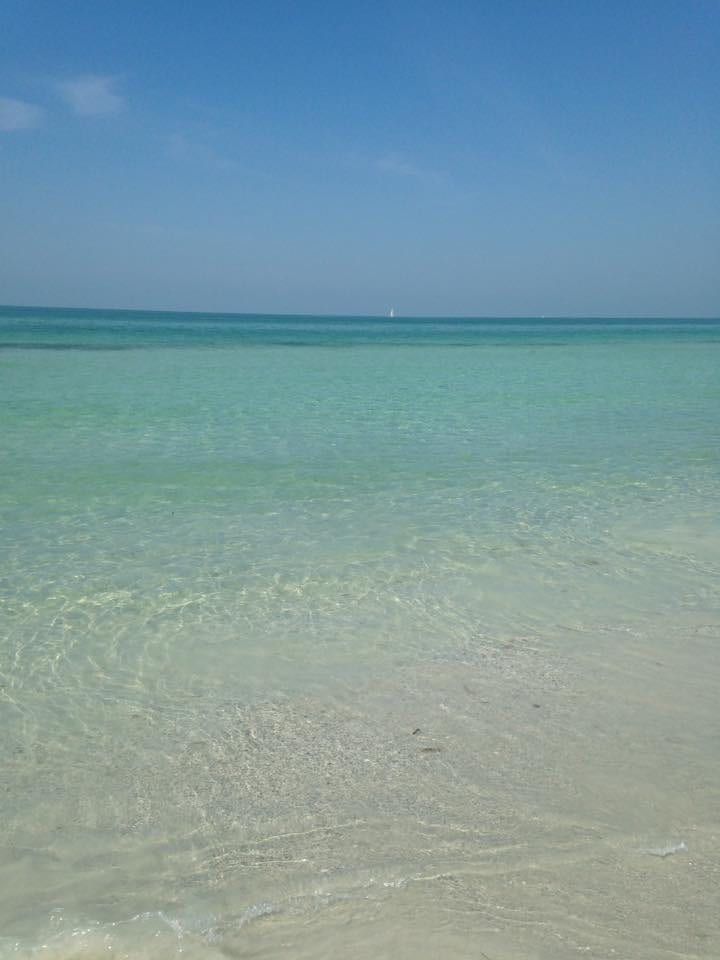 Siesta Key Beach or Bay Rental, photo 3