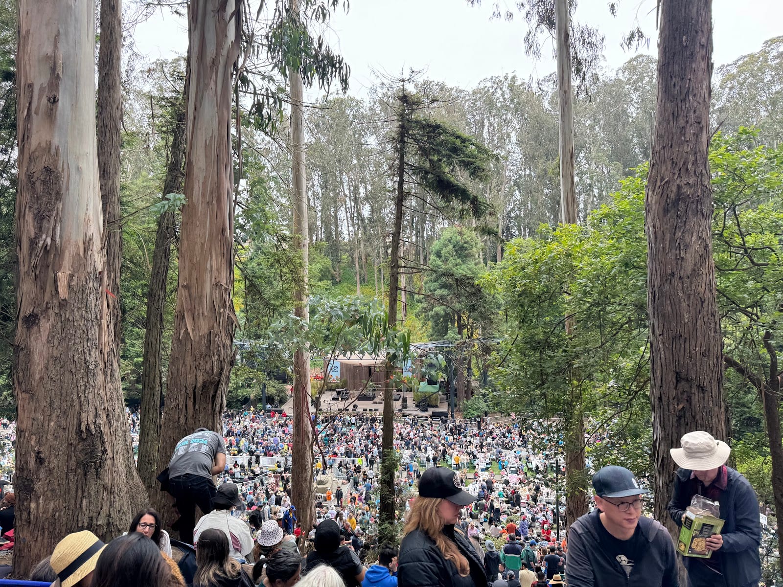 Sigmund Stern Recreation Grove