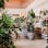 Fancy Free Nursery