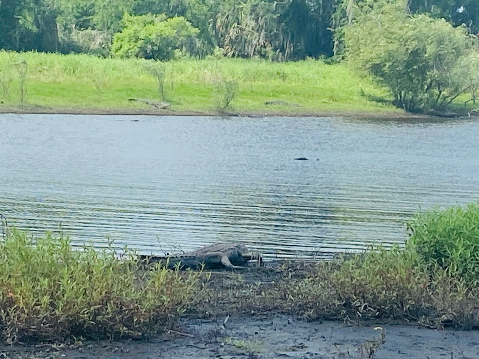 Myakka River State Park All Weather Road Gate