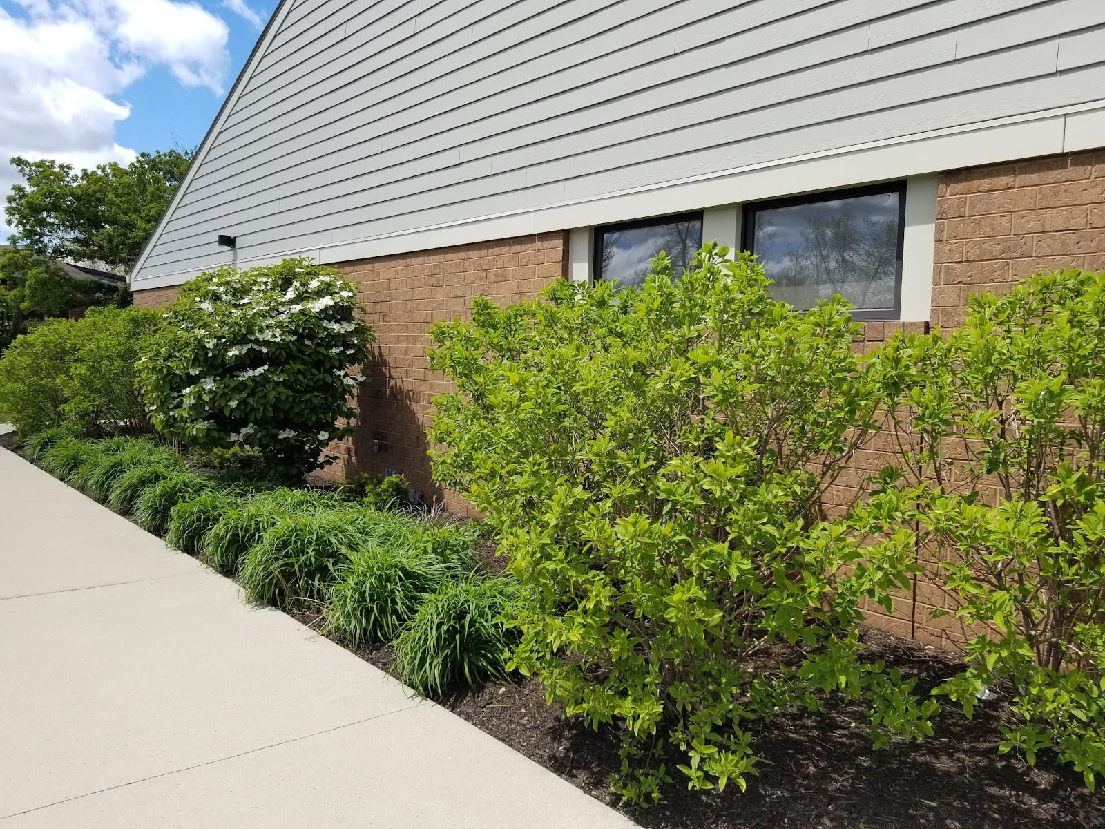 RediMed Northeast, photo 2