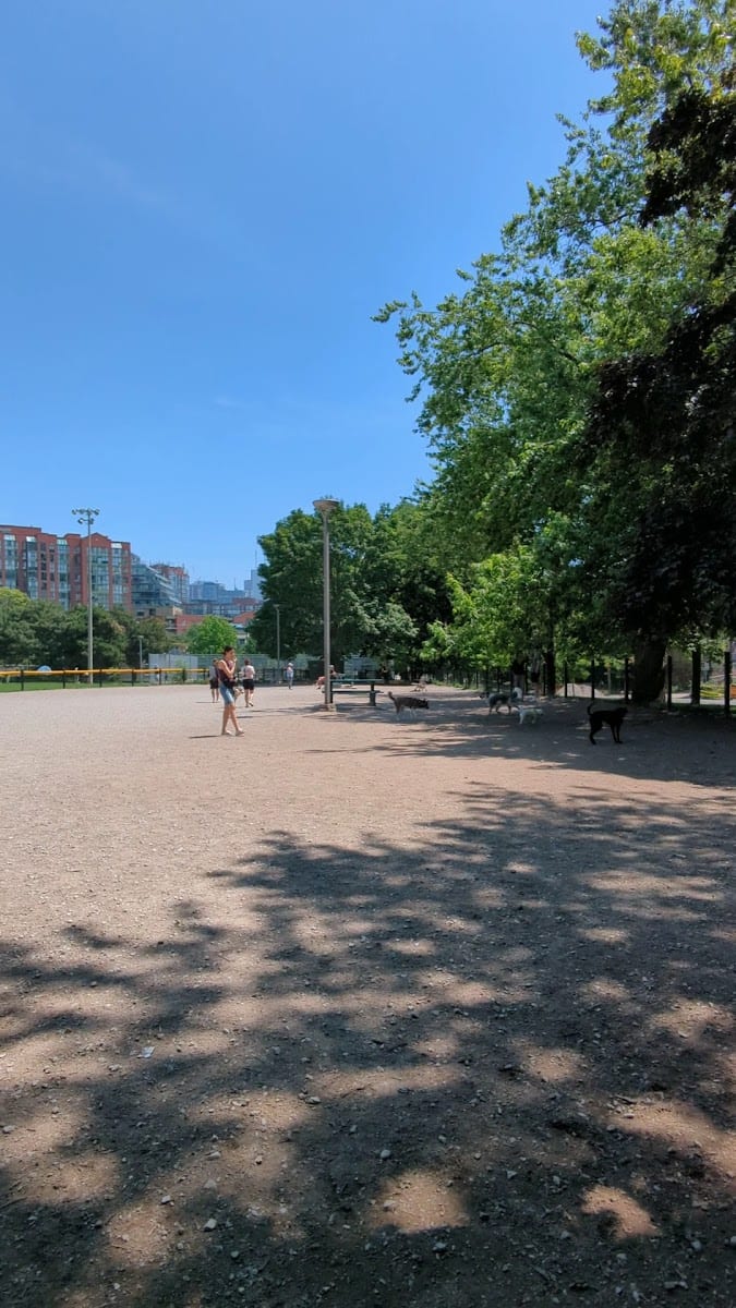 Stanley Off Leash Dog Park, photo 2