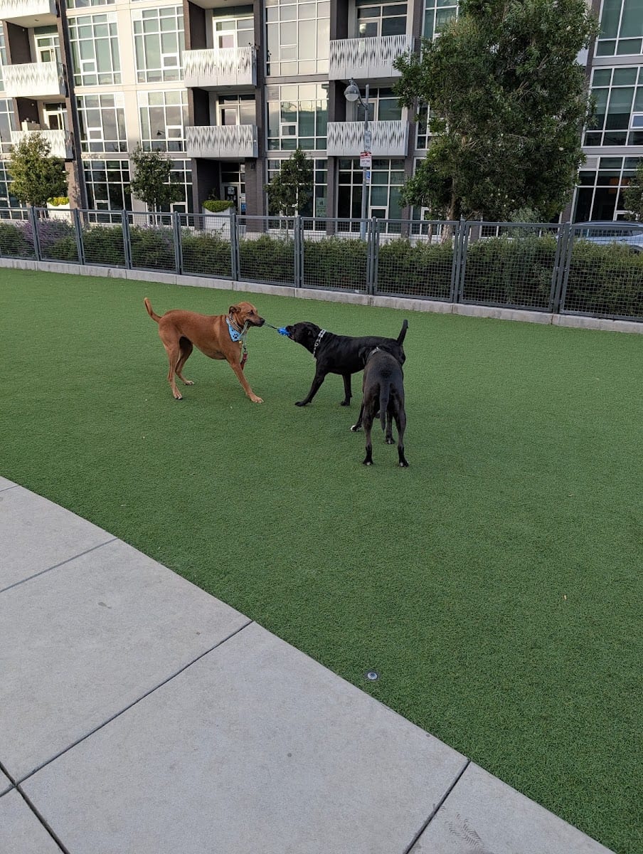 Channel Street Dog Park
