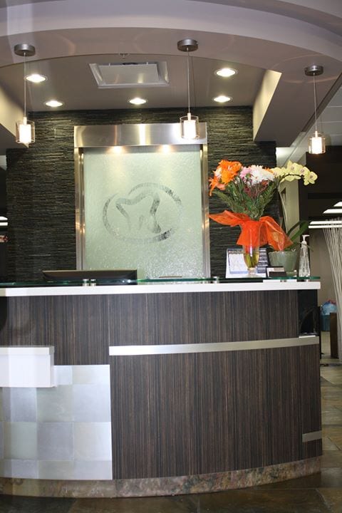 Aspire Dental Sherwood Park, photo 4