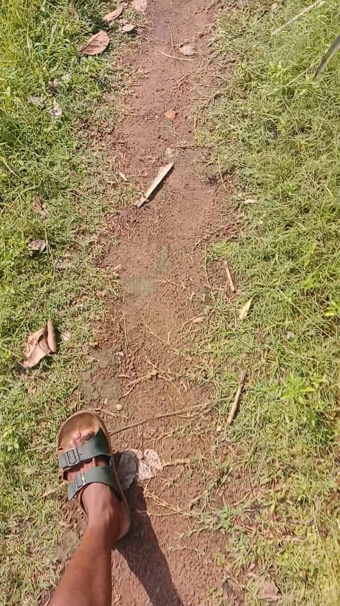 To The Root Of It, photo 4