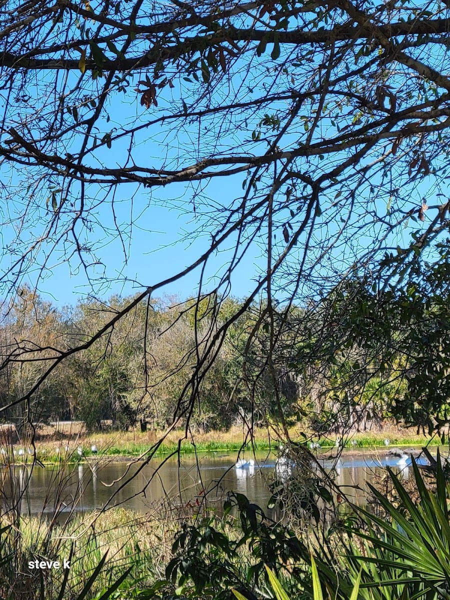 BoldyGo Trail, photo 2