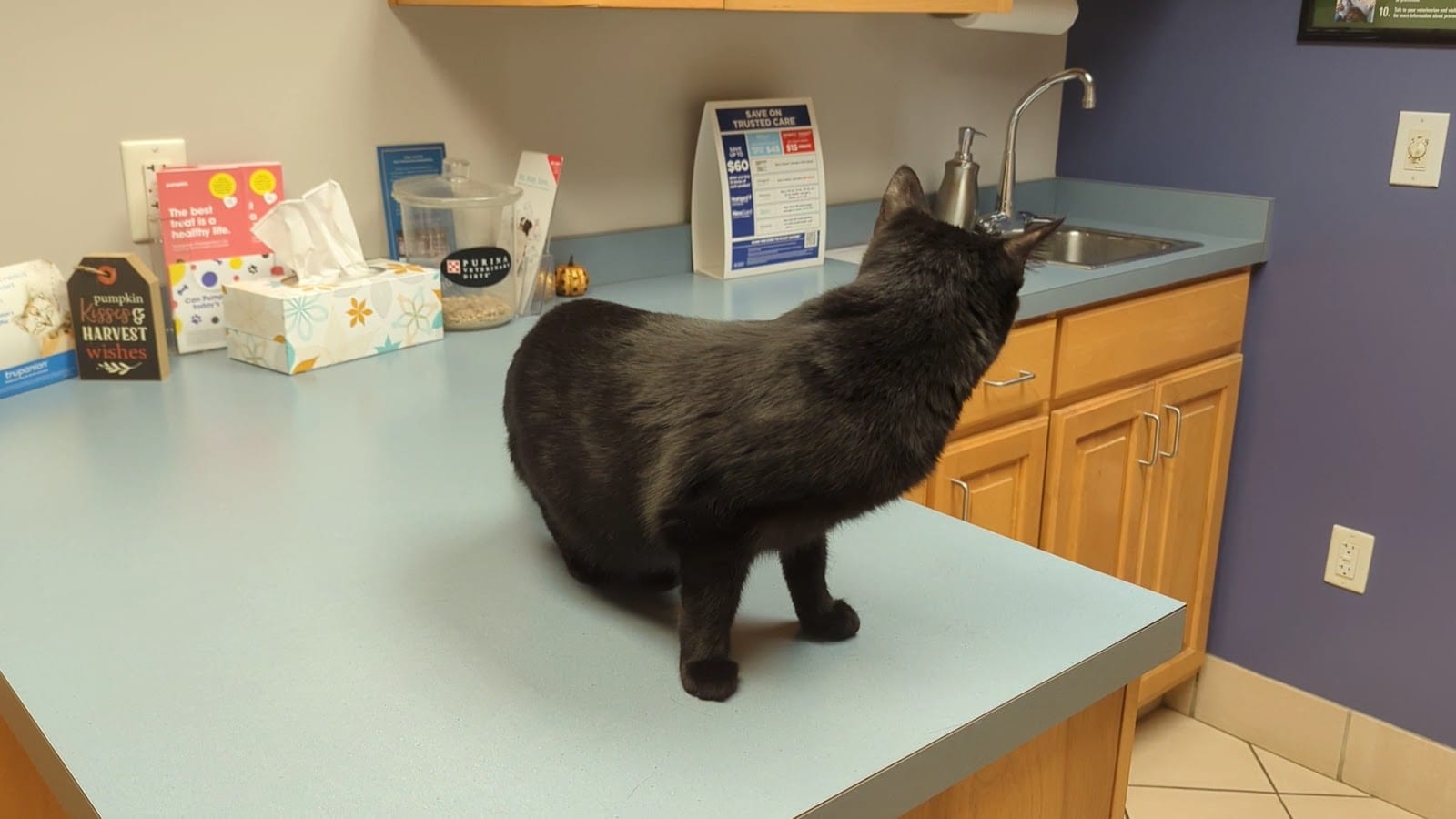 Animal Health Care Center, photo 3