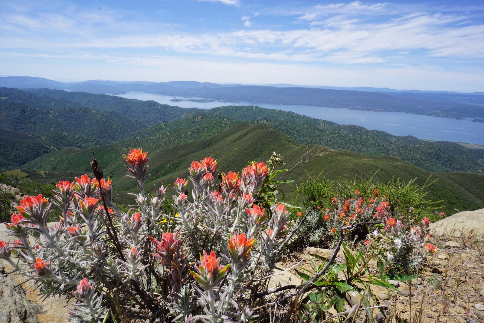 Berryessa Peak, photo 3