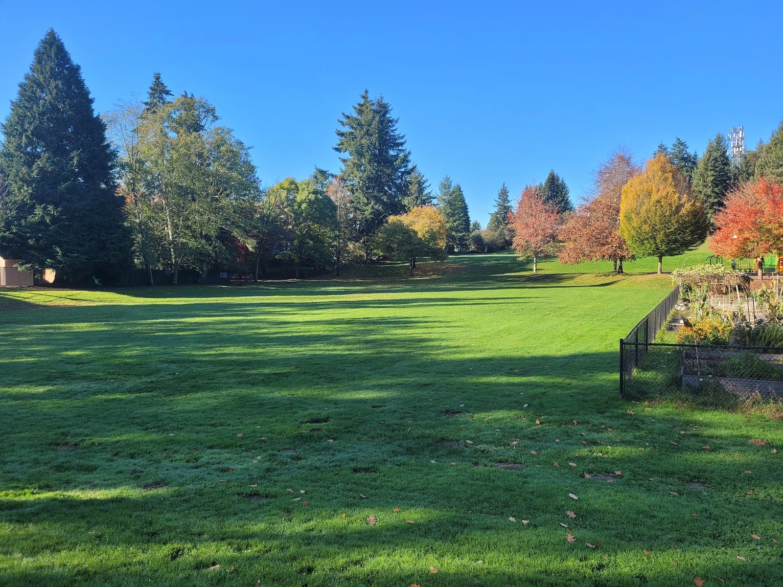 Sunrise Park, photo 2