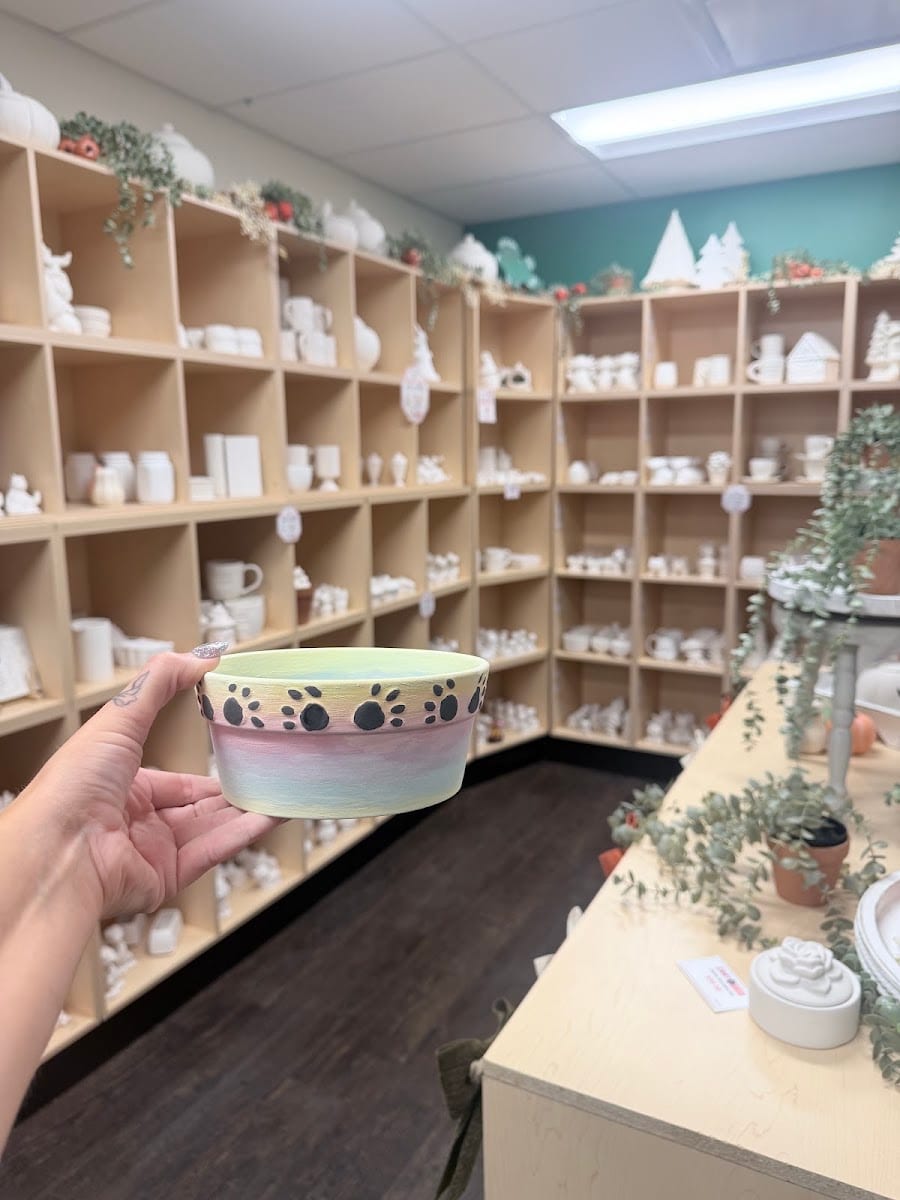 ZANY POTTERY AND GLASS in Sherwood Park