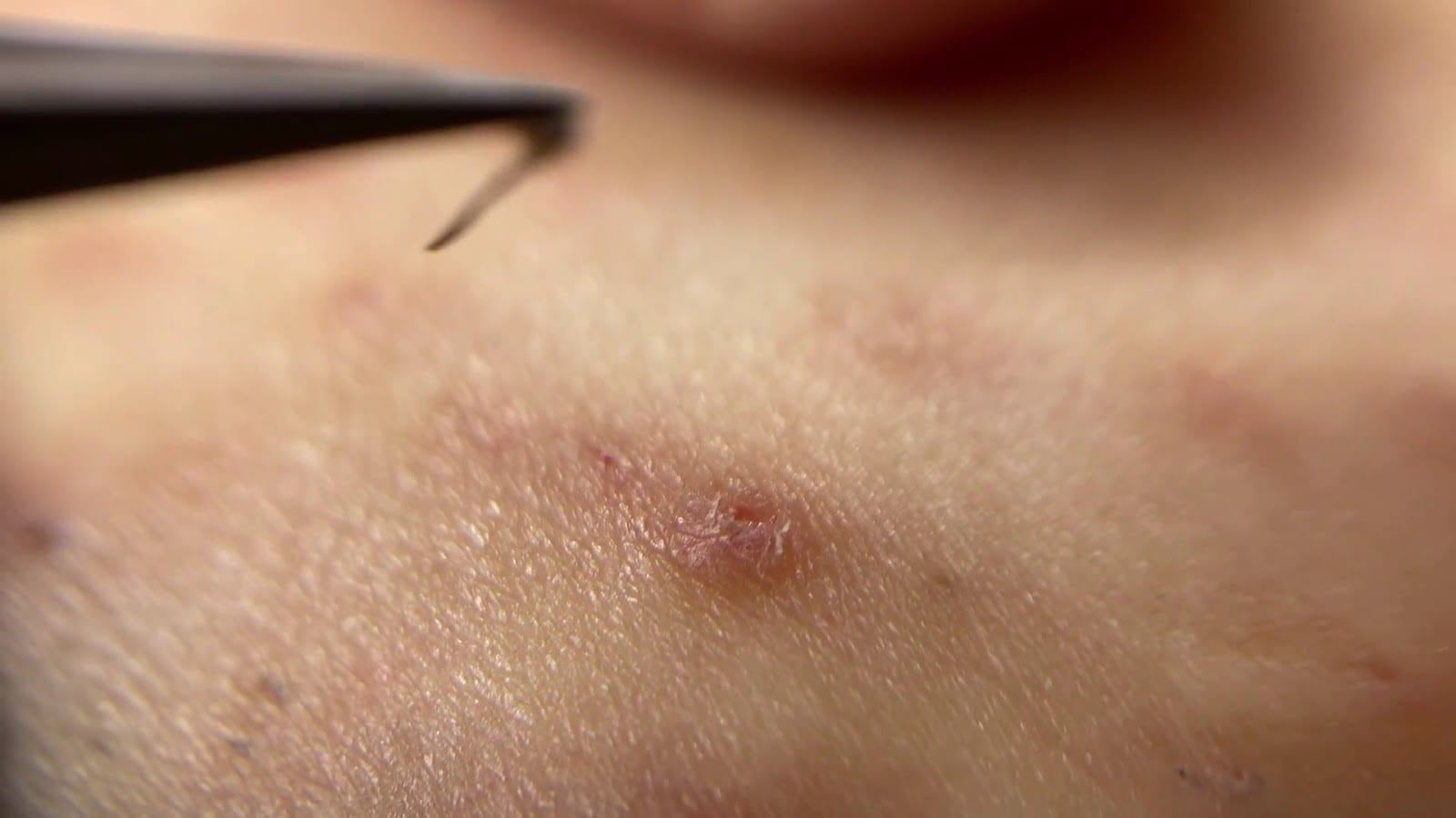 The Waxing Studio - Campbell, photo 4