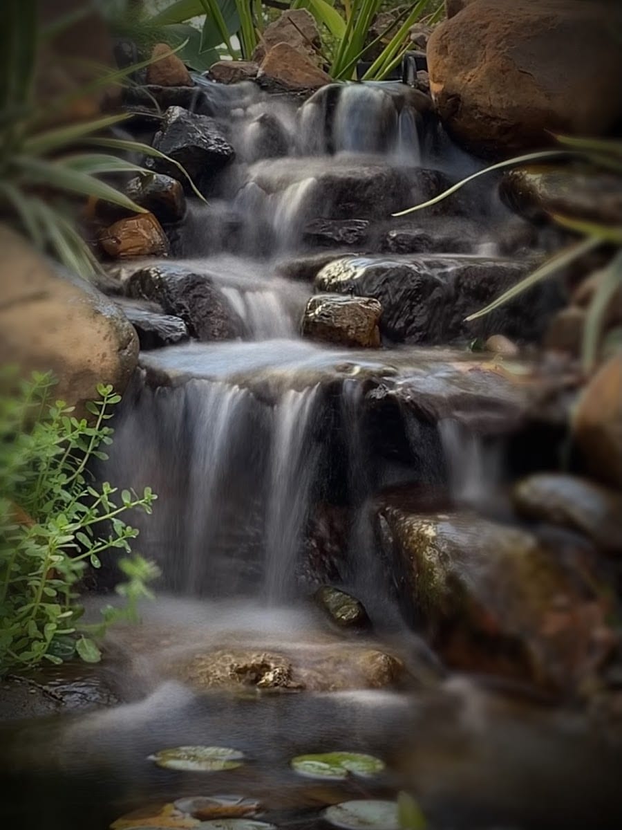 Gopro Ponds, photo 4