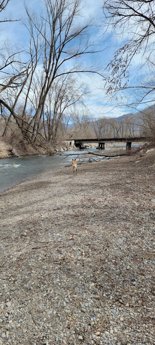 Dog Park