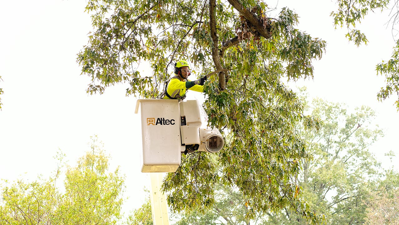 Bartlett Tree Experts, photo 4