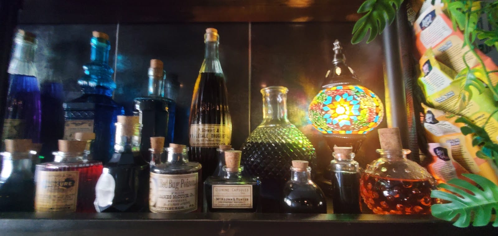 The Well Social Club and Kava Bar