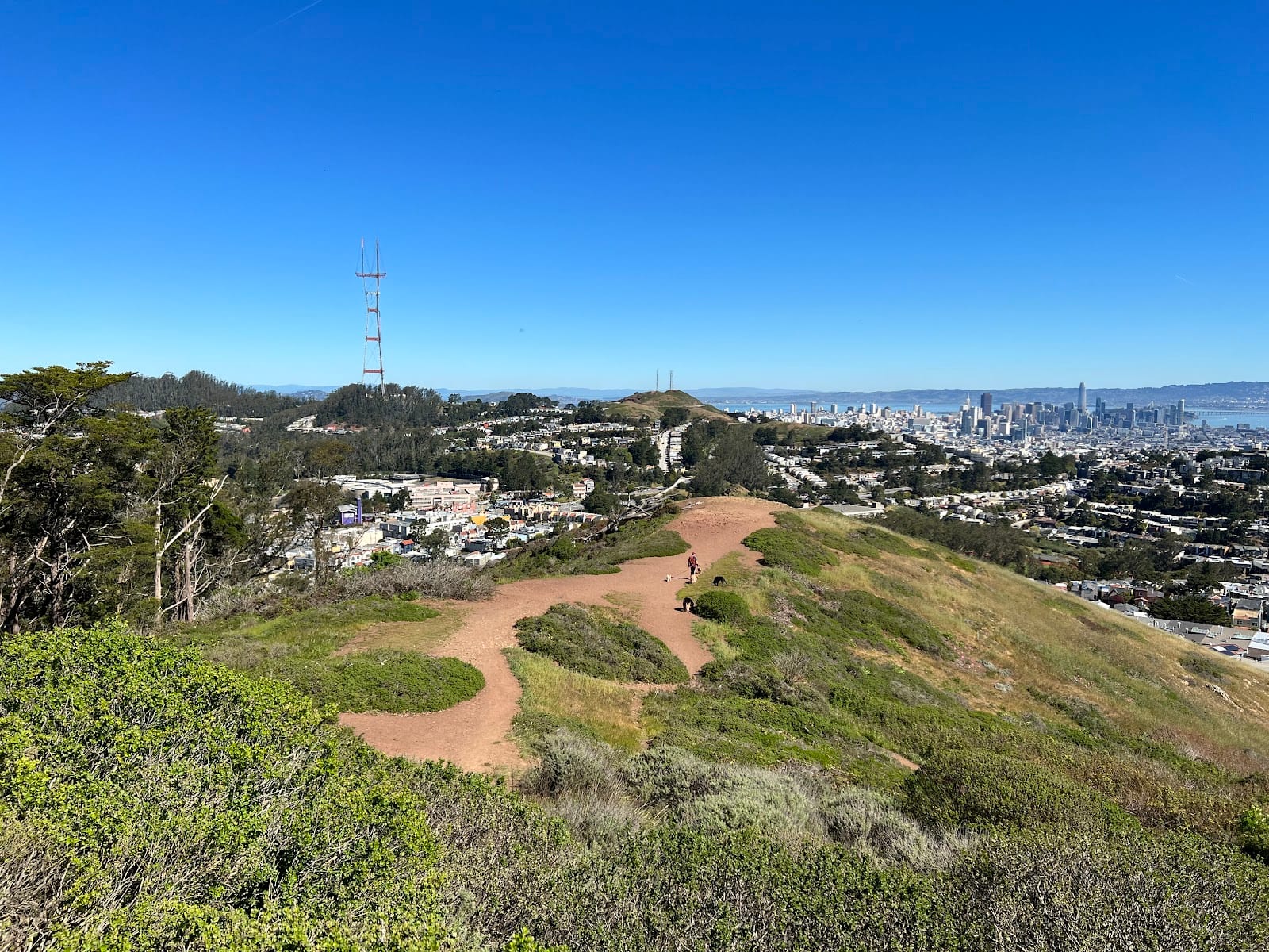 Mt. Davidson Park