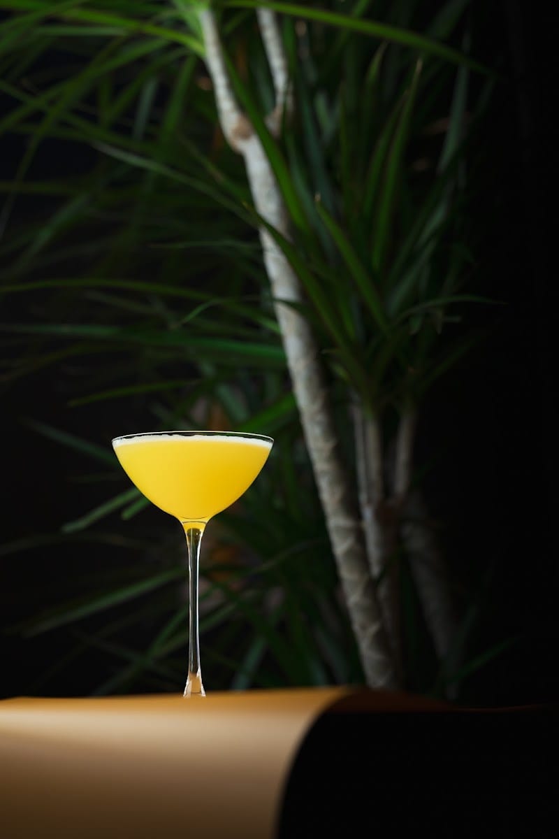 Bar Iris, photo 2