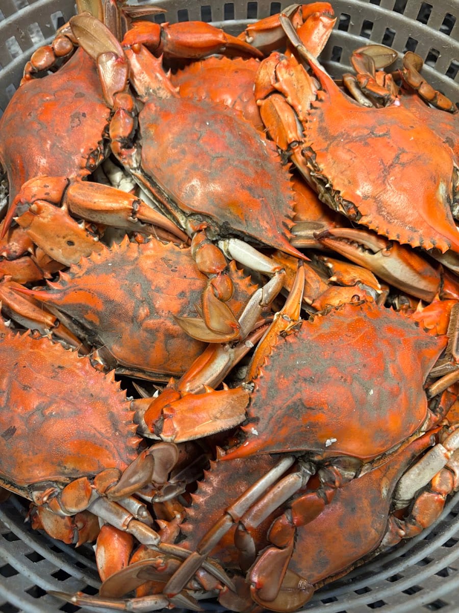 Wild Country Seafood, photo 2