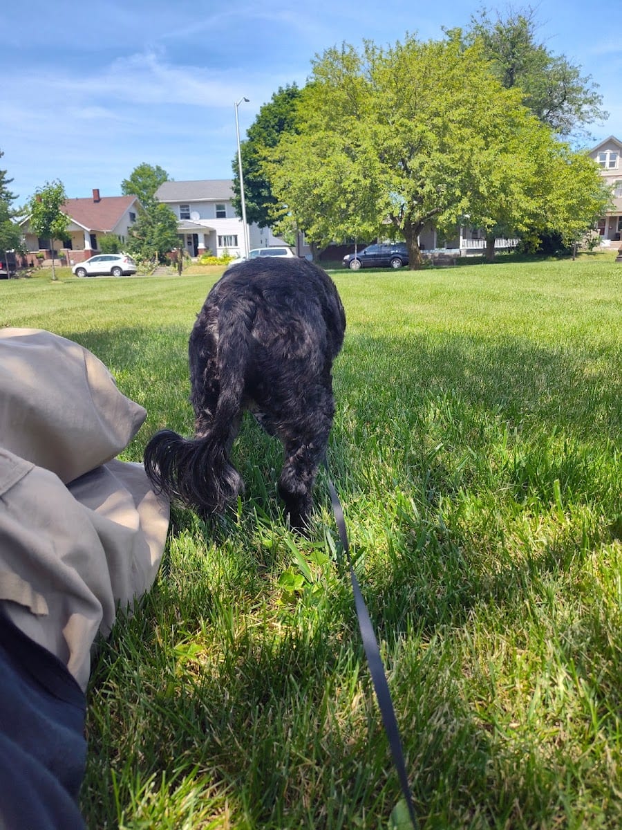 Williams Park