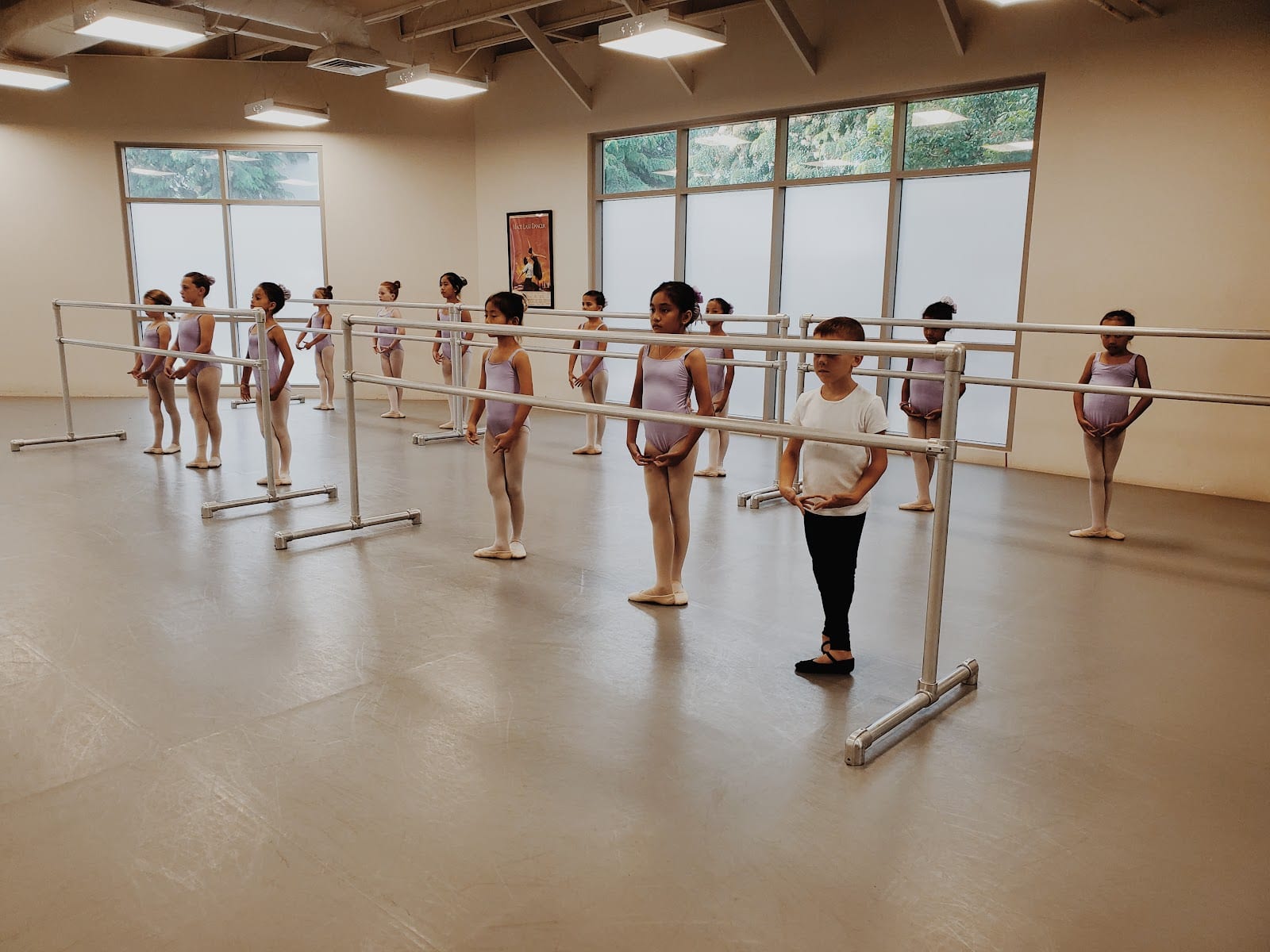 Ballet Hawaii West, photo 4