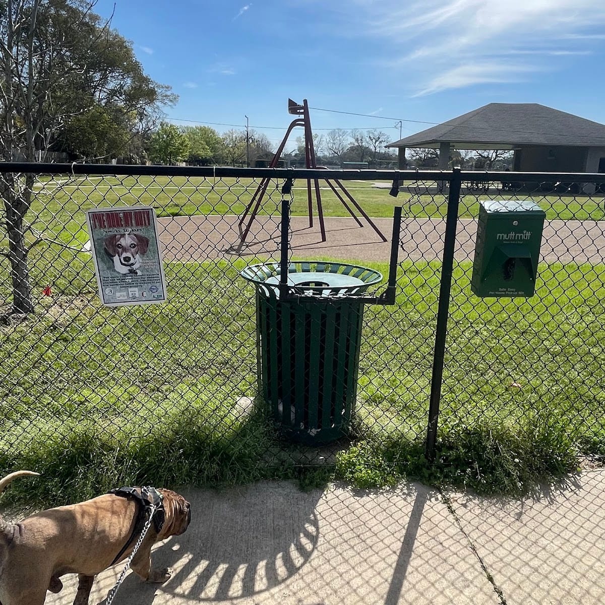 Dog Park @ Crawford Park