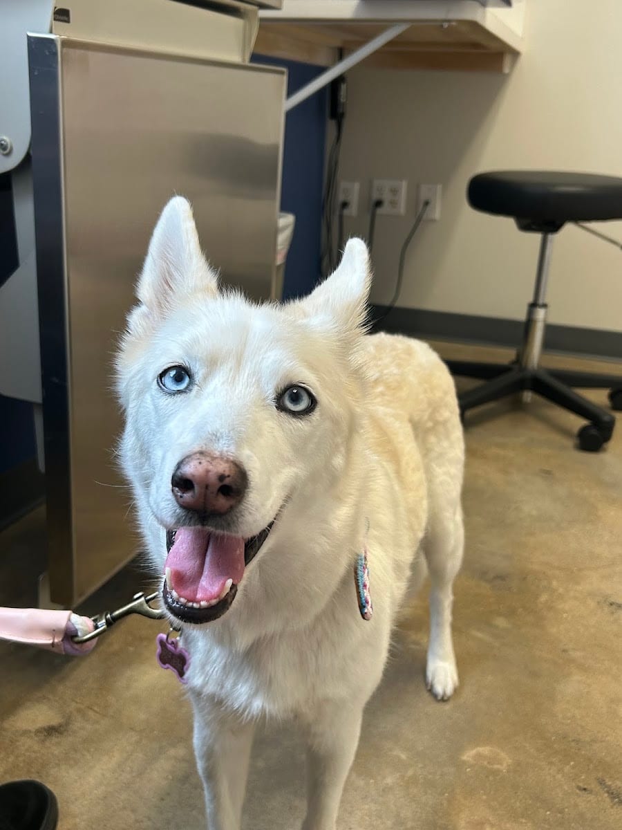 Firehouse Animal Health Center Round Rock, photo 3