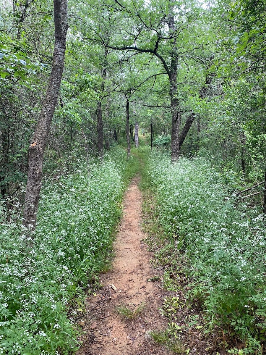 Wichita Forest