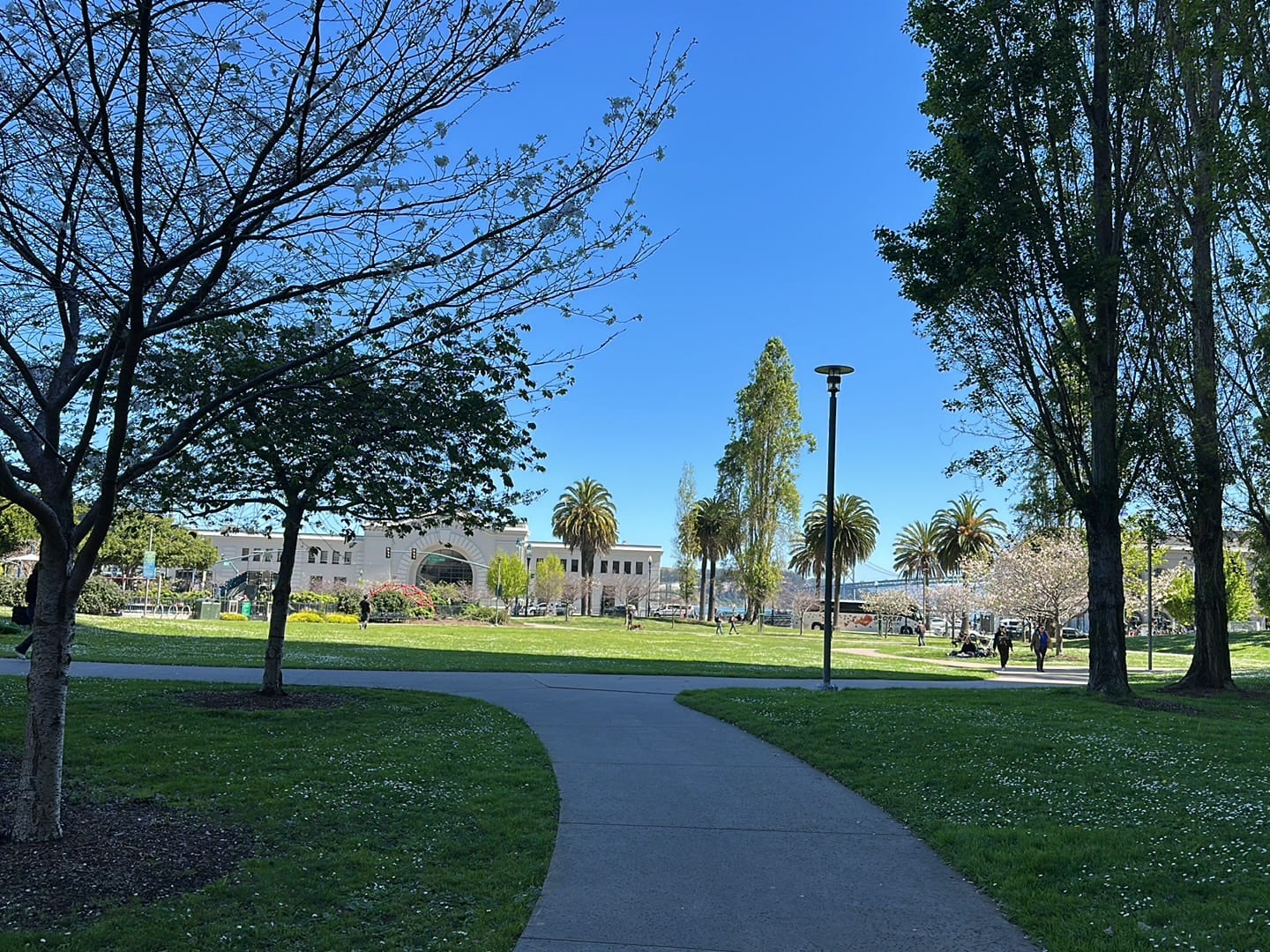 Ferry Park, photo 3