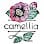 camellia salon