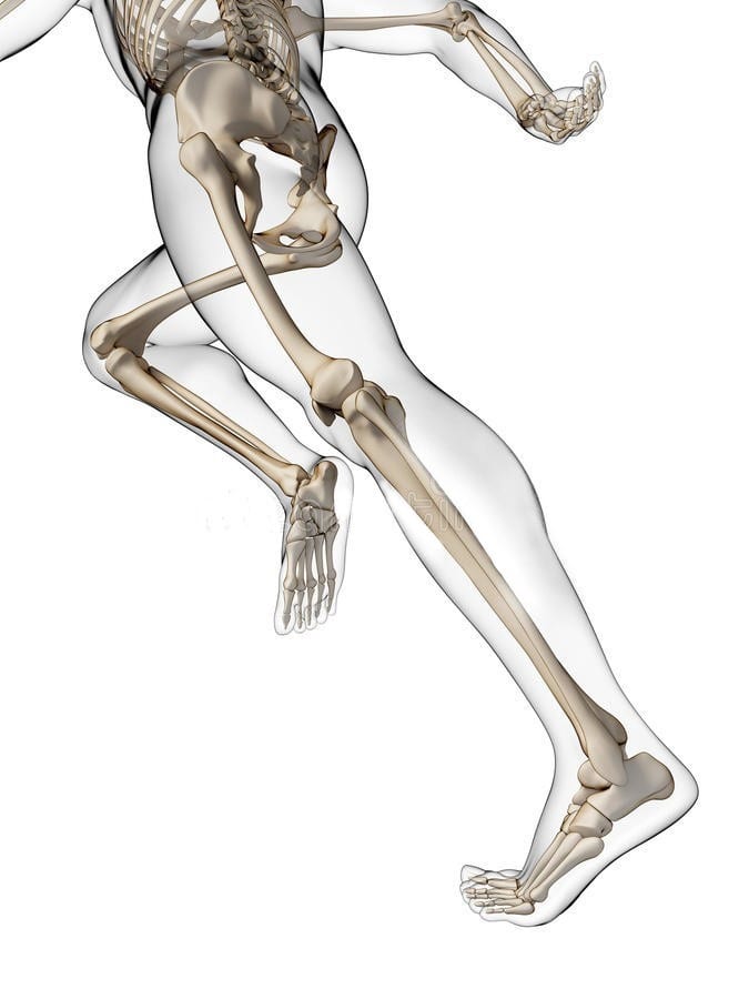 Sports & Orthopaedic Physiotherapy, photo 2