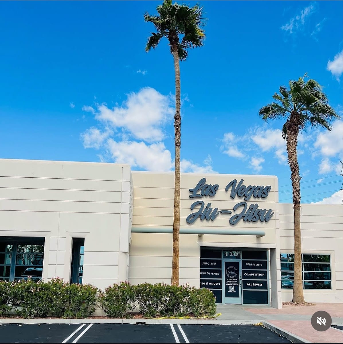 Las Vegas Jiu-Jitsu, photo 2