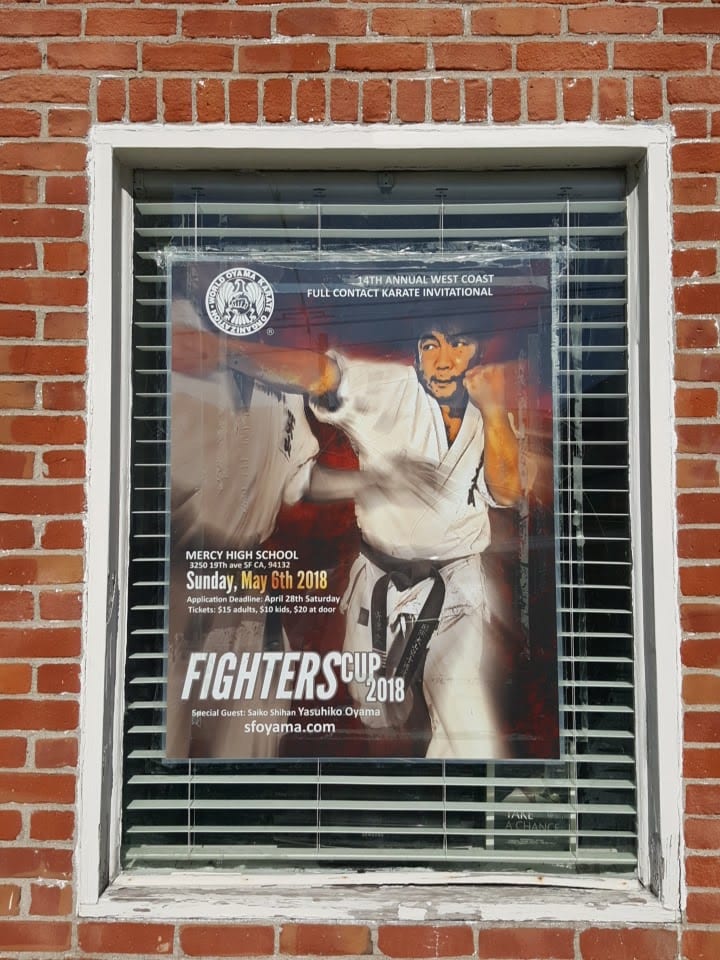 World Oyama Karate, photo 3