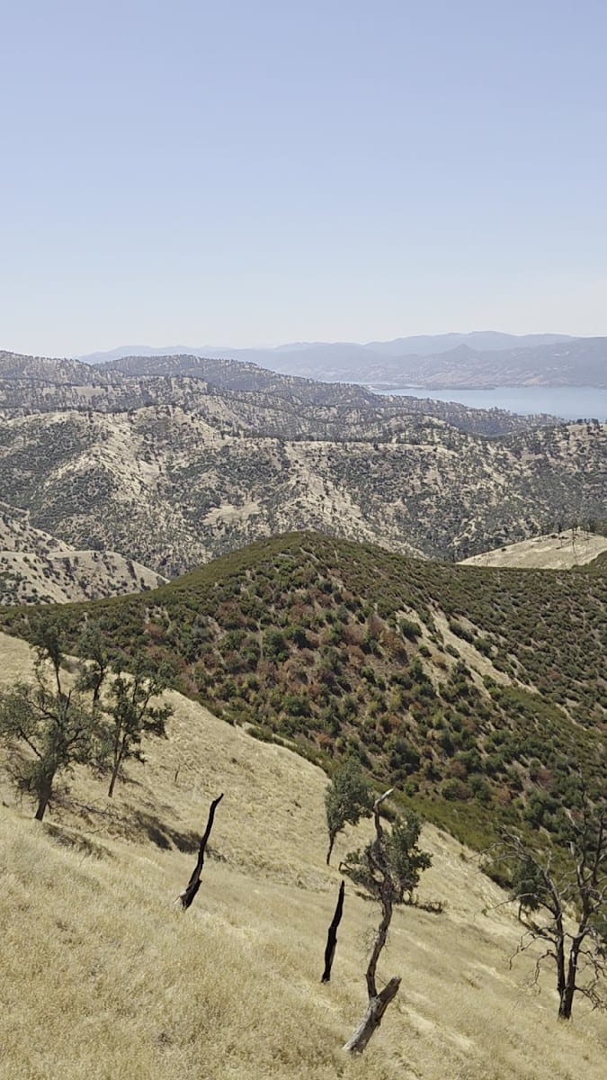 Berryessa Peak Trailhead, photo 2