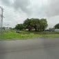 McKenney Street Park