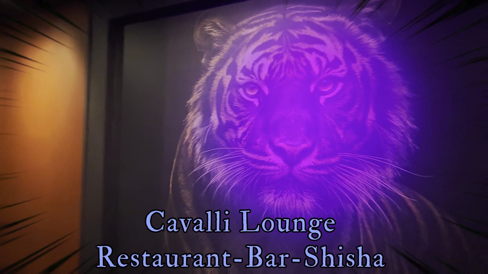 Cavalli Lounge, photo 3