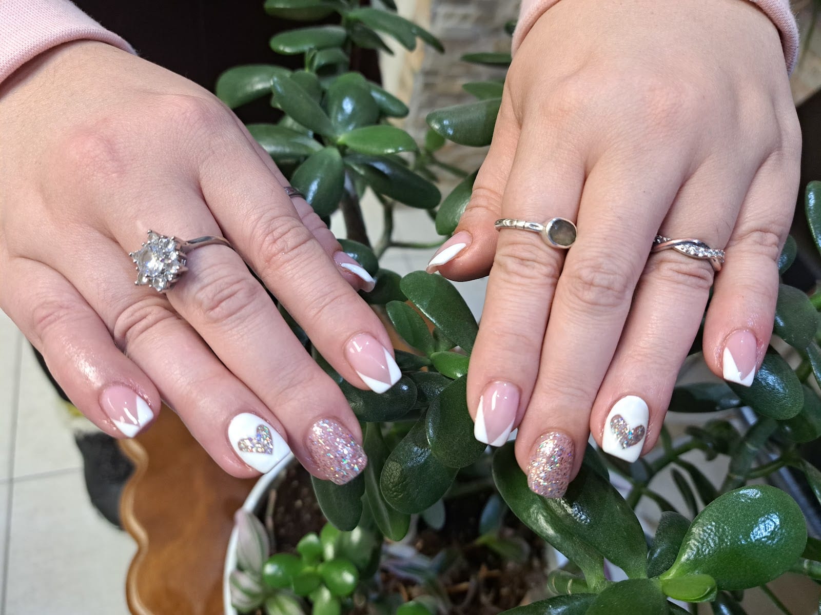 Splendid Nails Ltd.