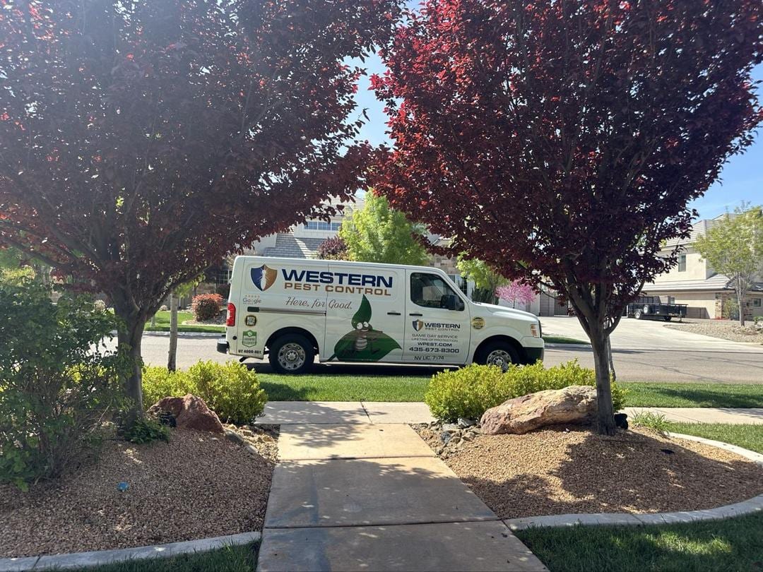 Western Pest Control, photo 2