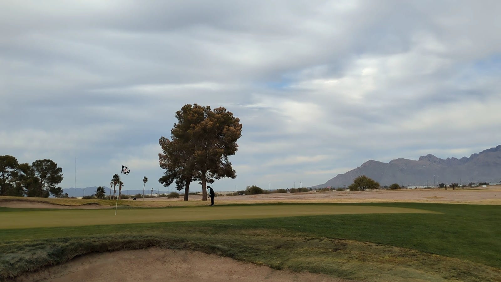 Silverbell Golf Course, photo 2