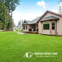 Addison Green Lawn, photo 3