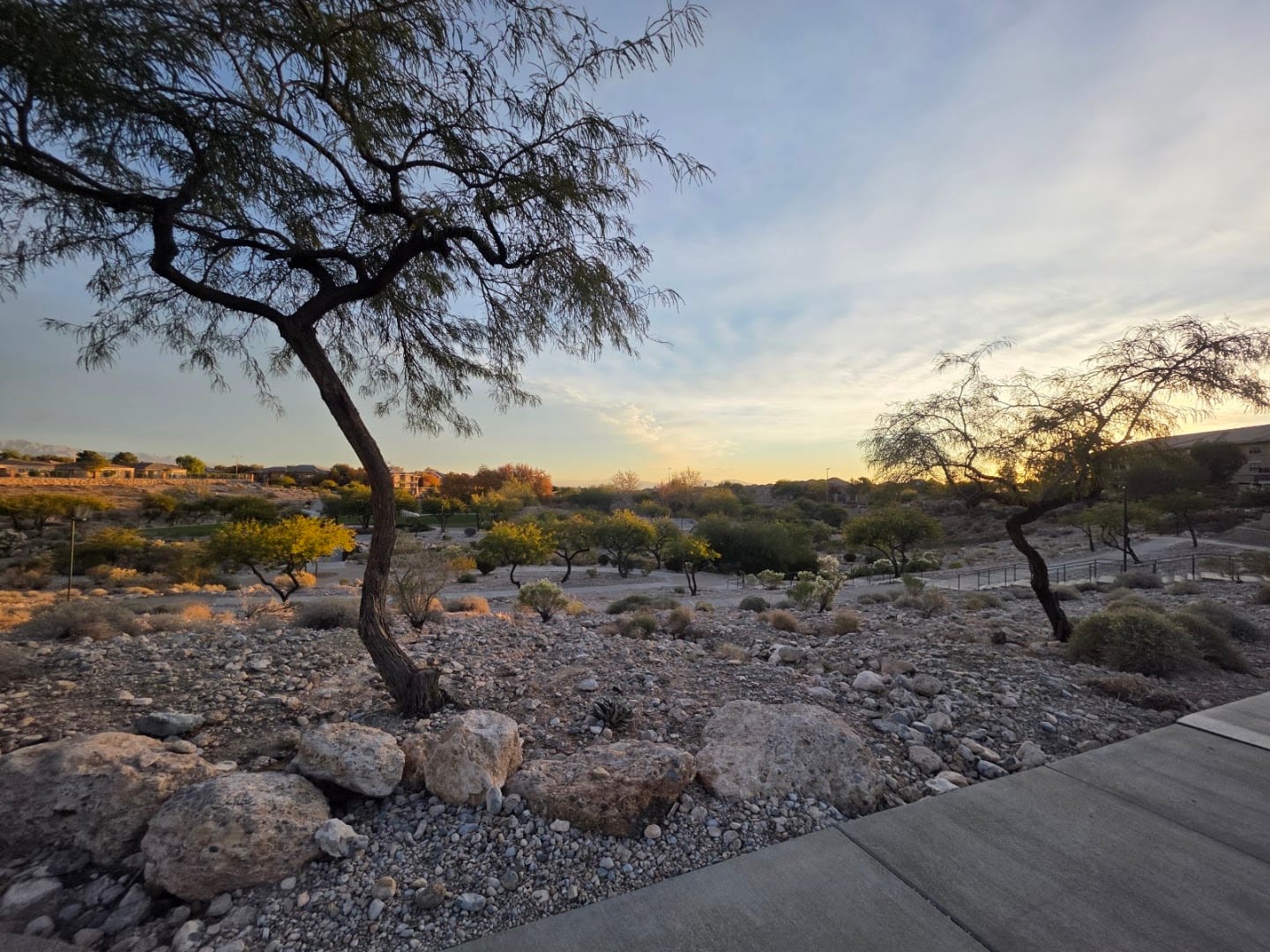 Desert Park