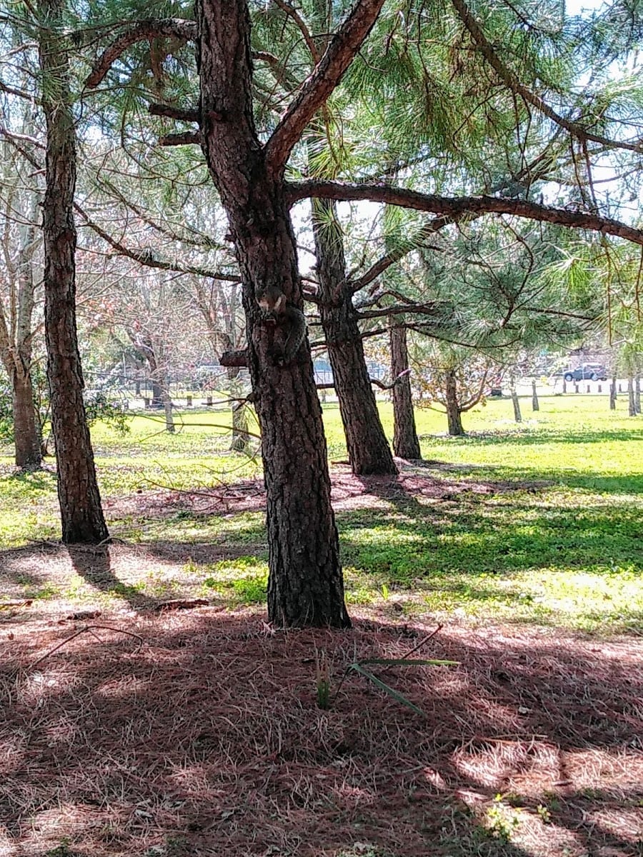 Bobby Hicks Park, photo 2