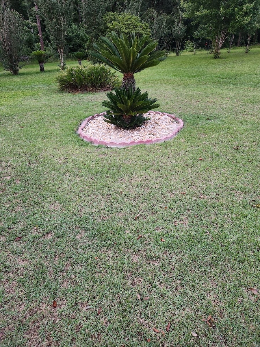Precision turf of Jacksonville llc, photo 2