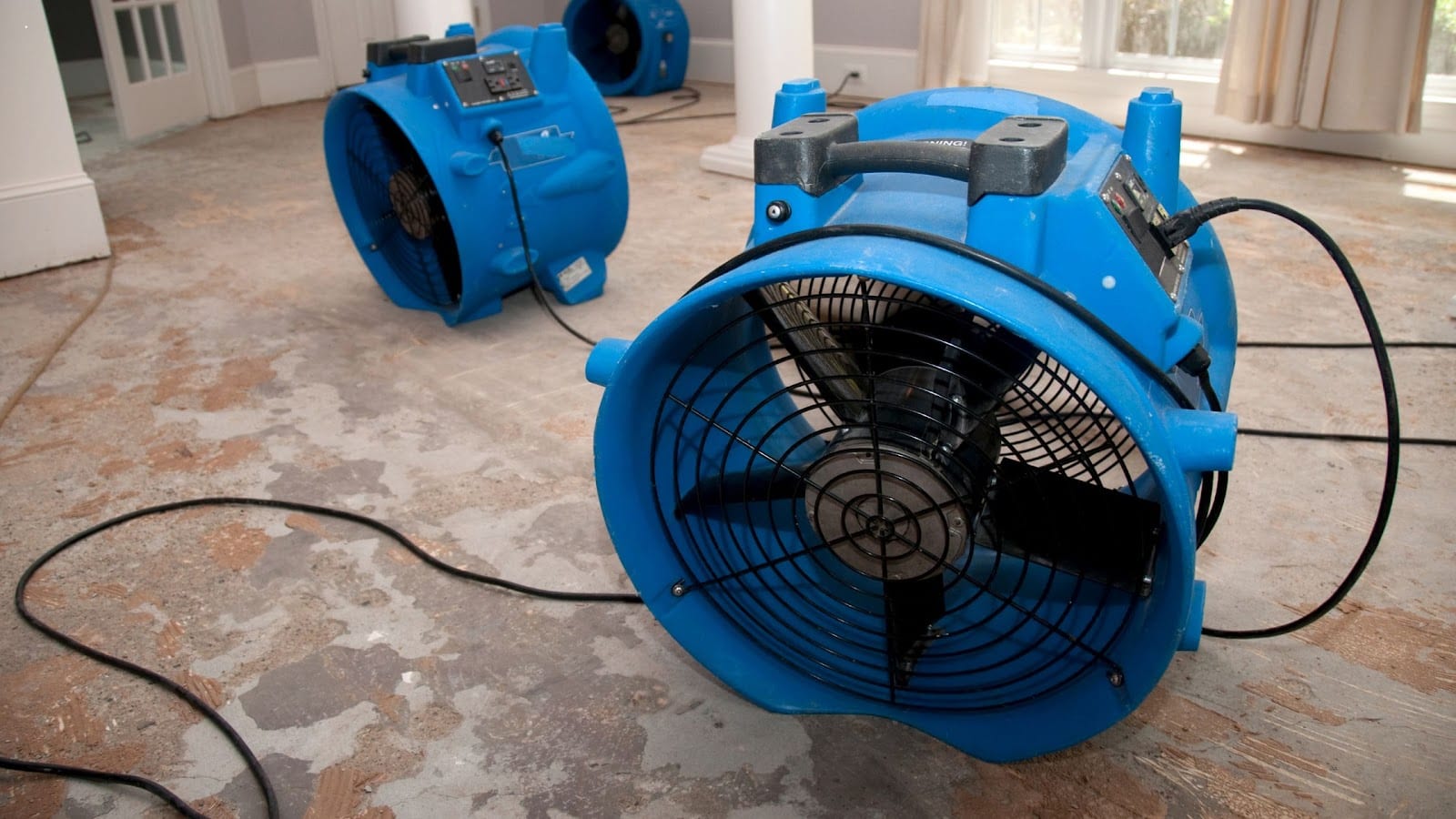 Mold Water Fire Damage Restoration